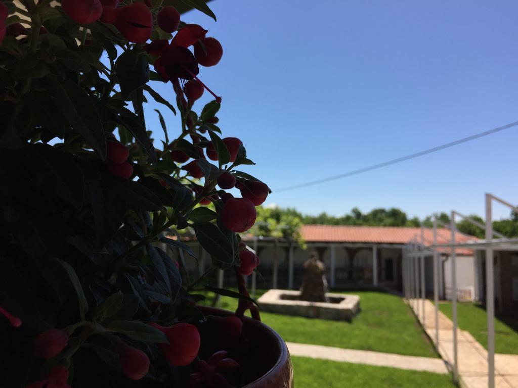 Motel Kiwi Grude 외부 사진